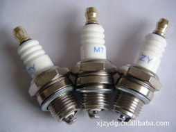 仙居縣志遠(yuǎn)電工器材廠 專業(yè)電工器材的可靠供應(yīng)商