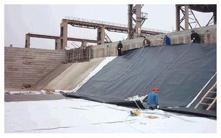 防滲土工膜與復(fù)合土工膜 廠家報(bào)價(jià)解析與選購(gòu)指南