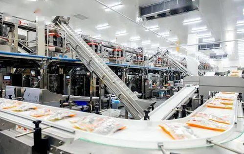 嚴防嚴控安全風險 河北部署開展冷凍飲品 速凍食品生產(chǎn)企業(yè)專項整治行動